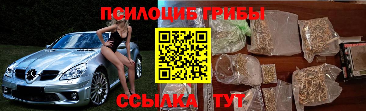 Псилоцибиновые грибы Cubensis Славгород