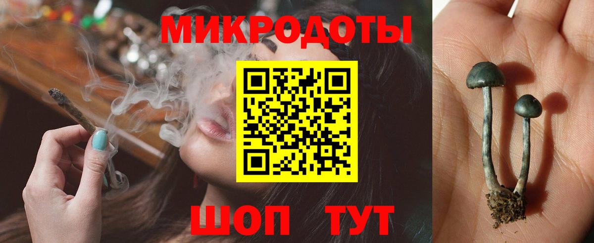 Псилоцибиновые грибы MAGIC MUSHROOMS  Галлюциногенные грибы Psilocybe  Славгород  Вход с VPN 